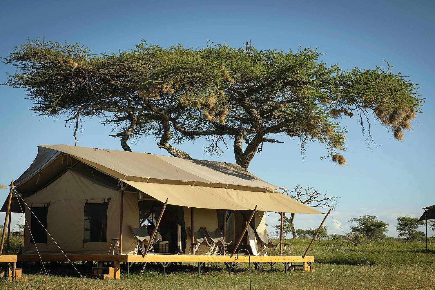 Serengeti Safari Camp
