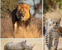 Akagera National Park