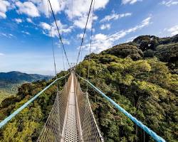 Nyungwe Forest National Park